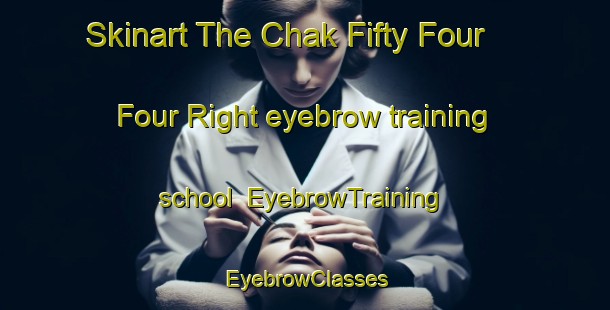 Skinart The Chak Fifty Four  Four Right eyebrow training school | EyebrowTraining | EyebrowClasses | SkinartTraining-Pakistan
