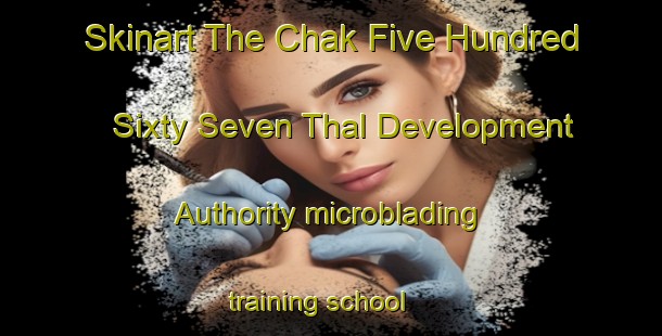 Skinart The Chak Five Hundred Sixty Seven Thal Development Authority microblading training school | MicrobladingTraining | MicrobladingClasses | SkinartTraining-Pakistan