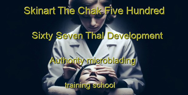 Skinart The Chak Five Hundred Sixty Seven Thal Development Authority microblading training school | MicrobladingTraining | MicrobladingClasses | SkinartTraining-Pakistan
