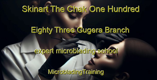 Skinart The Chak One Hundred Eighty Three Gugera Branch expert microblading school | MicrobladingTraining | MicrobladingClasses | SkinartTraining-Pakistan
