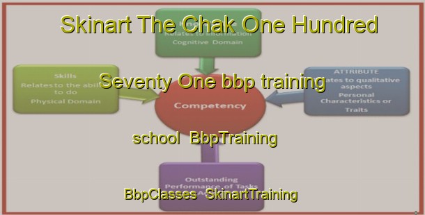 Skinart The Chak One Hundred Seventy One bbp training school | BbpTraining | BbpClasses | SkinartTraining-Pakistan