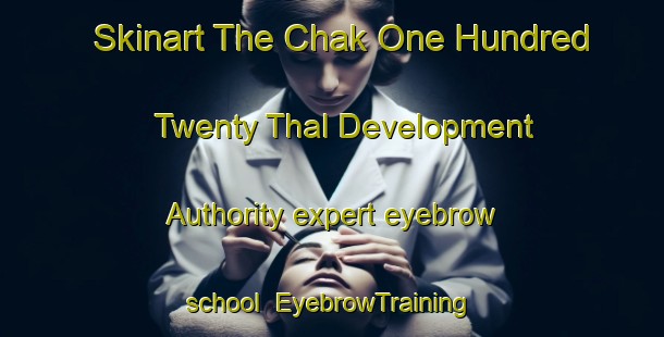 Skinart The Chak One Hundred Twenty Thal Development Authority expert eyebrow school | EyebrowTraining | EyebrowClasses | SkinartTraining-Pakistan