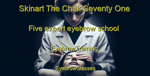 Skinart The Chak Seventy One  Five expert eyebrow school | EyebrowTraining | EyebrowClasses | SkinartTraining-Pakistan