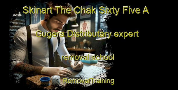 Skinart The Chak Sixty Five A Gugera Distributary expert removal school | RemovalTraining | RemovalClasses | SkinartTraining-Pakistan