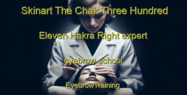 Skinart The Chak Three Hundred Eleven Hakra Right expert eyebrow school | EyebrowTraining | EyebrowClasses | SkinartTraining-Pakistan