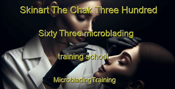 Skinart The Chak Three Hundred Sixty Three microblading training school | MicrobladingTraining | MicrobladingClasses | SkinartTraining-Pakistan