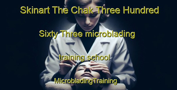 Skinart The Chak Three Hundred Sixty Three microblading training school | MicrobladingTraining | MicrobladingClasses | SkinartTraining-Pakistan