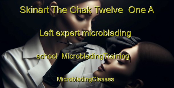 Skinart The Chak Twelve  One A Left expert microblading school | MicrobladingTraining | MicrobladingClasses | SkinartTraining-Pakistan
