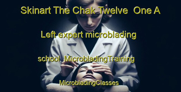 Skinart The Chak Twelve  One A Left expert microblading school | MicrobladingTraining | MicrobladingClasses | SkinartTraining-Pakistan