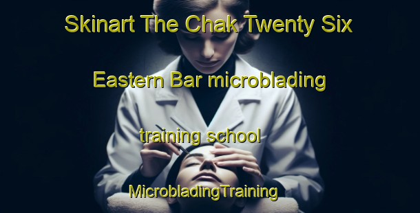 Skinart The Chak Twenty Six Eastern Bar microblading training school | MicrobladingTraining | MicrobladingClasses | SkinartTraining-Pakistan