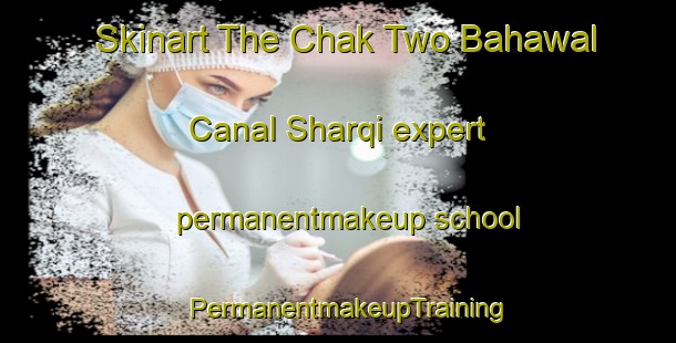Skinart The Chak Two Bahawal Canal Sharqi expert permanentmakeup school | PermanentmakeupTraining | PermanentmakeupClasses | SkinartTraining-Pakistan