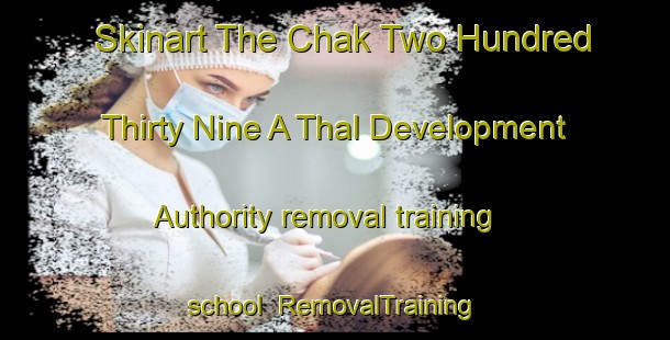 Skinart The Chak Two Hundred Thirty Nine A Thal Development Authority removal training school | RemovalTraining | RemovalClasses | SkinartTraining-Pakistan