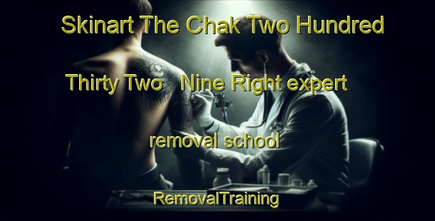 Skinart The Chak Two Hundred Thirty Two   Nine Right expert removal school | RemovalTraining | RemovalClasses | SkinartTraining-Pakistan