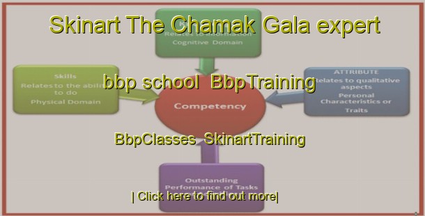 Skinart The Chamak Gala expert bbp school | BbpTraining | BbpClasses | SkinartTraining-Pakistan