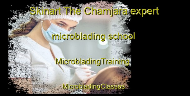 Skinart The Chamjara expert microblading school | MicrobladingTraining | MicrobladingClasses | SkinartTraining-Pakistan