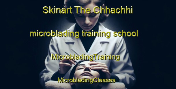 Skinart The Chhachhi microblading training school | MicrobladingTraining | MicrobladingClasses | SkinartTraining-Pakistan