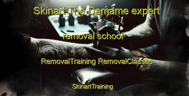 Skinart The Damame expert removal school | #RemovalTraining #RemovalClasses #SkinartTraining-Pakistan