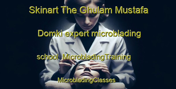 Skinart The Ghulam Mustafa Domki expert microblading school | MicrobladingTraining | MicrobladingClasses | SkinartTraining-Pakistan