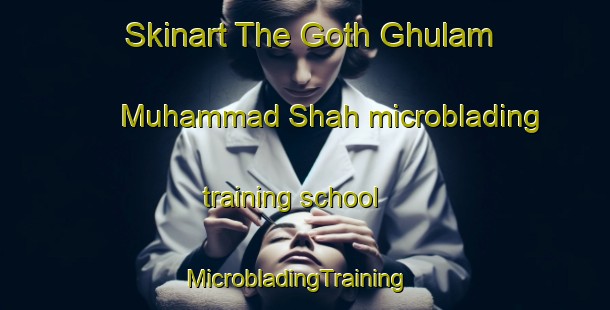 Skinart The Goth Ghulam Muhammad Shah microblading training school | MicrobladingTraining | MicrobladingClasses | SkinartTraining-Pakistan