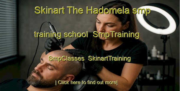 Skinart The Hadomela smp training school | SmpTraining | SmpClasses | SkinartTraining-Pakistan