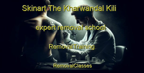 Skinart The Kharwandal Kili expert removal school | RemovalTraining | RemovalClasses | SkinartTraining-Pakistan