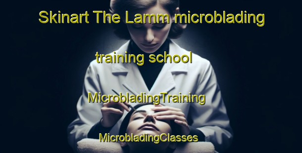 Skinart The Lamm microblading training school | MicrobladingTraining | MicrobladingClasses | SkinartTraining-Pakistan