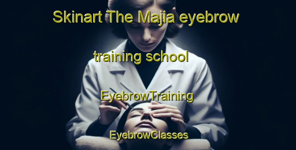 Skinart The Majia eyebrow training school | EyebrowTraining | EyebrowClasses | SkinartTraining-Pakistan