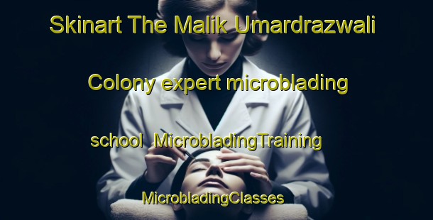 Skinart The Malik Umardrazwali Colony expert microblading school | MicrobladingTraining | MicrobladingClasses | SkinartTraining-Pakistan