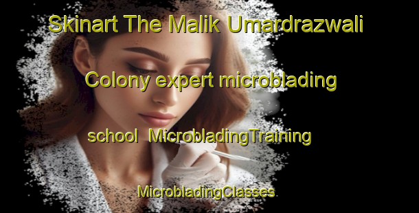 Skinart The Malik Umardrazwali Colony expert microblading school | MicrobladingTraining | MicrobladingClasses | SkinartTraining-Pakistan