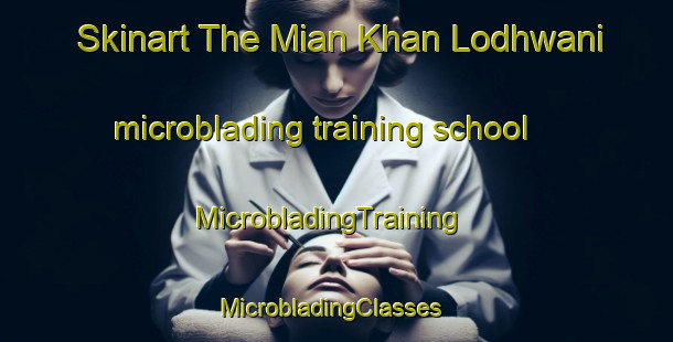 Skinart The Mian Khan Lodhwani microblading training school | MicrobladingTraining | MicrobladingClasses | SkinartTraining-Pakistan
