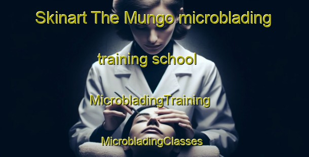Skinart The Mungo microblading training school | MicrobladingTraining | MicrobladingClasses | SkinartTraining-Pakistan