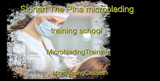 Skinart The Pina microblading training school | MicrobladingTraining | MicrobladingClasses | SkinartTraining-Pakistan