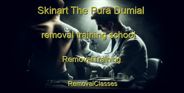 Skinart The Pura Dumial removal training school | RemovalTraining | RemovalClasses | SkinartTraining-Pakistan