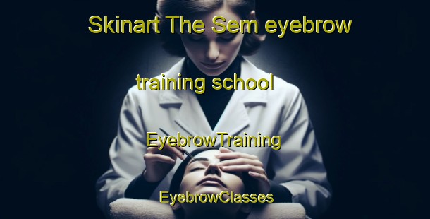 Skinart The Sem eyebrow training school | EyebrowTraining | EyebrowClasses | SkinartTraining-Pakistan