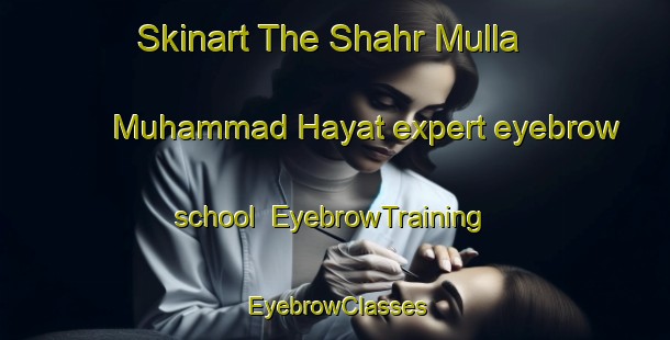 Skinart The Shahr Mulla Muhammad Hayat expert eyebrow school | EyebrowTraining | EyebrowClasses | SkinartTraining-Pakistan