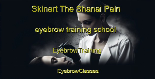 Skinart The Shanai Pain eyebrow training school | EyebrowTraining | EyebrowClasses | SkinartTraining-Pakistan