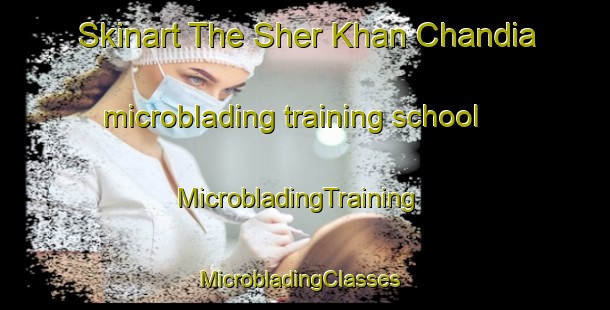 Skinart The Sher Khan Chandia microblading training school | MicrobladingTraining | MicrobladingClasses | SkinartTraining-Pakistan