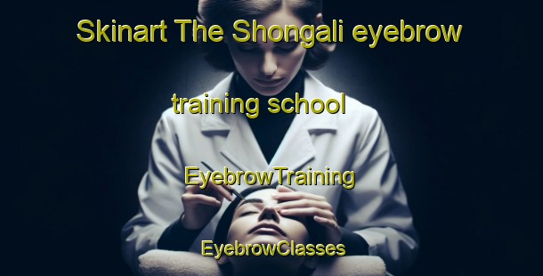 Skinart The Shongali eyebrow training school | EyebrowTraining | EyebrowClasses | SkinartTraining-Pakistan