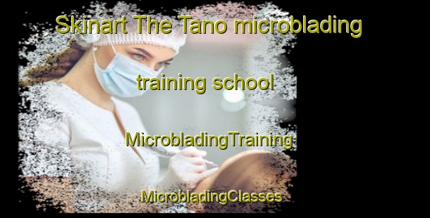 Skinart The Tano microblading training school | MicrobladingTraining | MicrobladingClasses | SkinartTraining-Pakistan