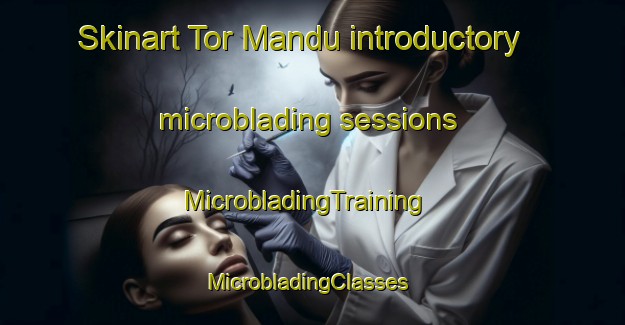 Skinart Tor Mandu introductory microblading sessions | MicrobladingTraining | MicrobladingClasses | SkinartTraining-Pakistan
