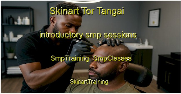 Skinart Tor Tangai introductory smp sessions | SmpTraining | SmpClasses | SkinartTraining-Pakistan