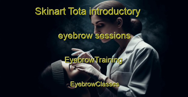 Skinart Tota introductory eyebrow sessions | EyebrowTraining | EyebrowClasses | SkinartTraining-Pakistan