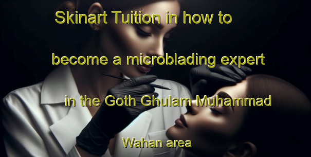 Skinart Tuition in how to become a microblading expert in the Goth Ghulam Muhammad Wahan area | MicrobladingTraining | MicrobladingClasses | SkinartTraining-Pakistan