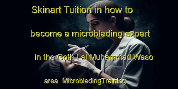 Skinart Tuition in how to become a microblading expert in the Goth Lal Muhammad Waso area | MicrobladingTraining | MicrobladingClasses | SkinartTraining-Pakistan