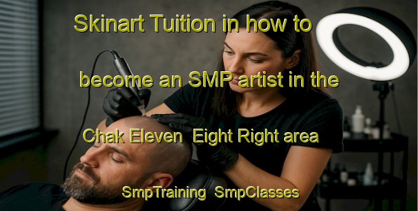 Skinart Tuition in how to become an SMP artist in the Chak Eleven  Eight Right area | SmpTraining | SmpClasses | SkinartTraining-Pakistan