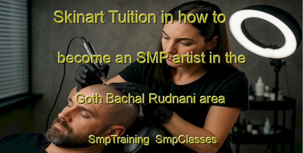 Skinart Tuition in how to become an SMP artist in the Goth Bachal Rudnani area | SmpTraining | SmpClasses | SkinartTraining-Pakistan
