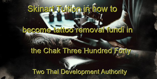 Skinart Tuition in how to become tattoo removal fundi in the Chak Three Hundred Forty Two Thal Development Authority area | RemovalTraining | RemovalClasses | SkinartTraining-Pakistan