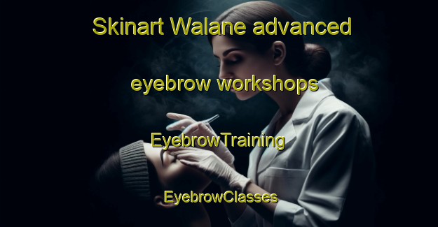 Skinart Walane advanced eyebrow workshops | EyebrowTraining | EyebrowClasses | SkinartTraining-Pakistan