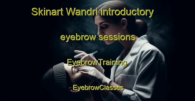 Skinart Wandri introductory eyebrow sessions | EyebrowTraining | EyebrowClasses | SkinartTraining-Pakistan