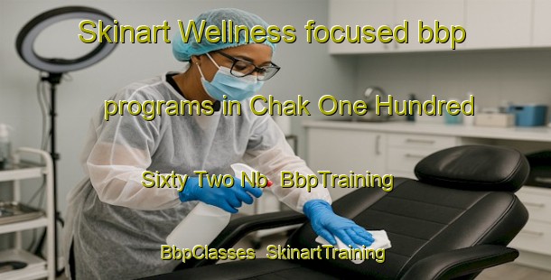 Skinart Wellness-focused bbp programs in Chak One Hundred Sixty Two Nb | BbpTraining | BbpClasses | SkinartTraining-Pakistan